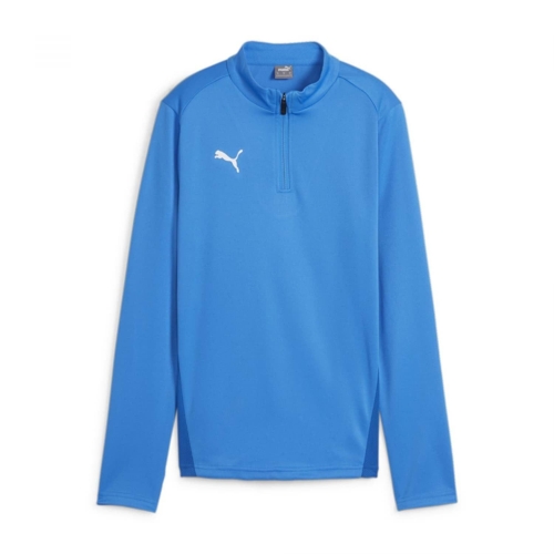 Puma Junior teamGOAL 24 1 4 Zip Training Top - Blue