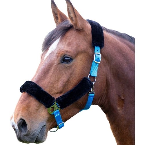 Shires Fleece Lined Horse Headcollar - Blue