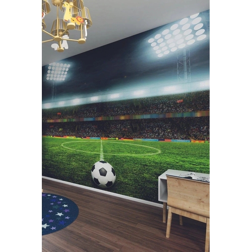 Origin Murals Football Stadium Wall Mural - Green