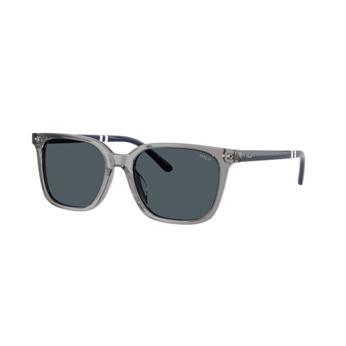 Polo Ralph Lauren Sunglasses - Grey - Wayfarer