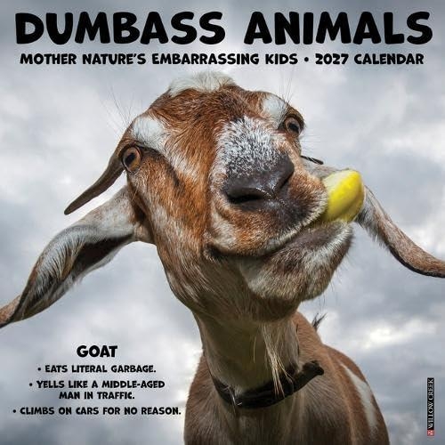Dumbass Animals 2027 Wall - Willow Creek