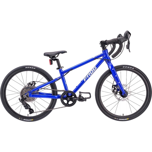 Frog Road 53 - 20 Inch Kids Bike - Blue