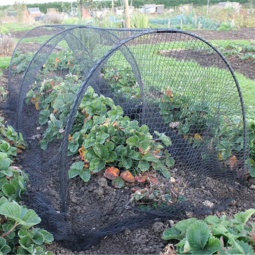 Flexible Black Hoop Garden Tunnel Kit - Polythene / 900mm