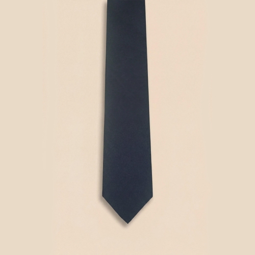 Without Prejudice Allegra Texture Tie - Blue