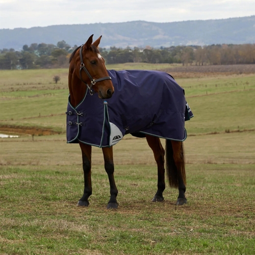 Weatherbeeta Comfitec Plus Dynamic Turnout High Neck 100g - Blue